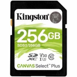 KINGSTON SDS2/256GB